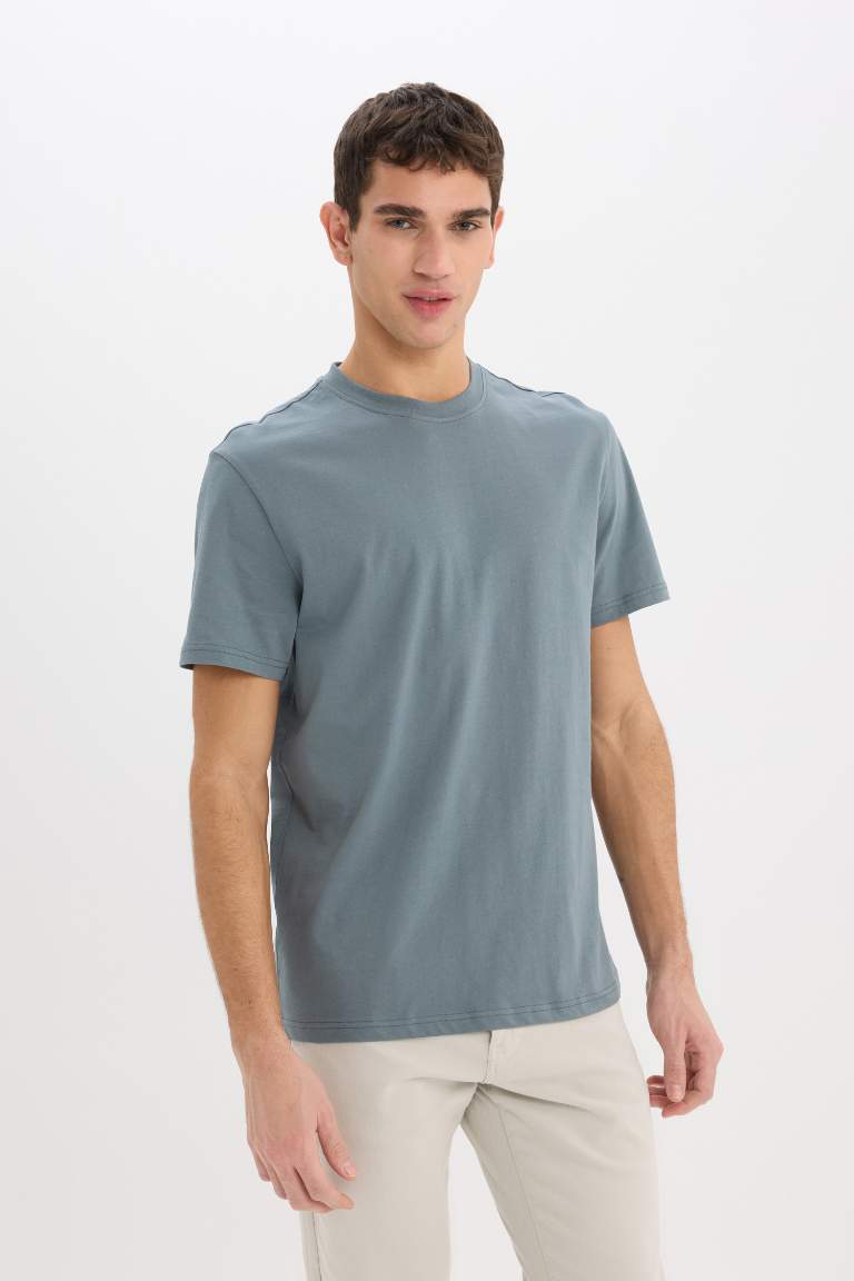 New Regular Fit Crew Neck Basic T-Shirt