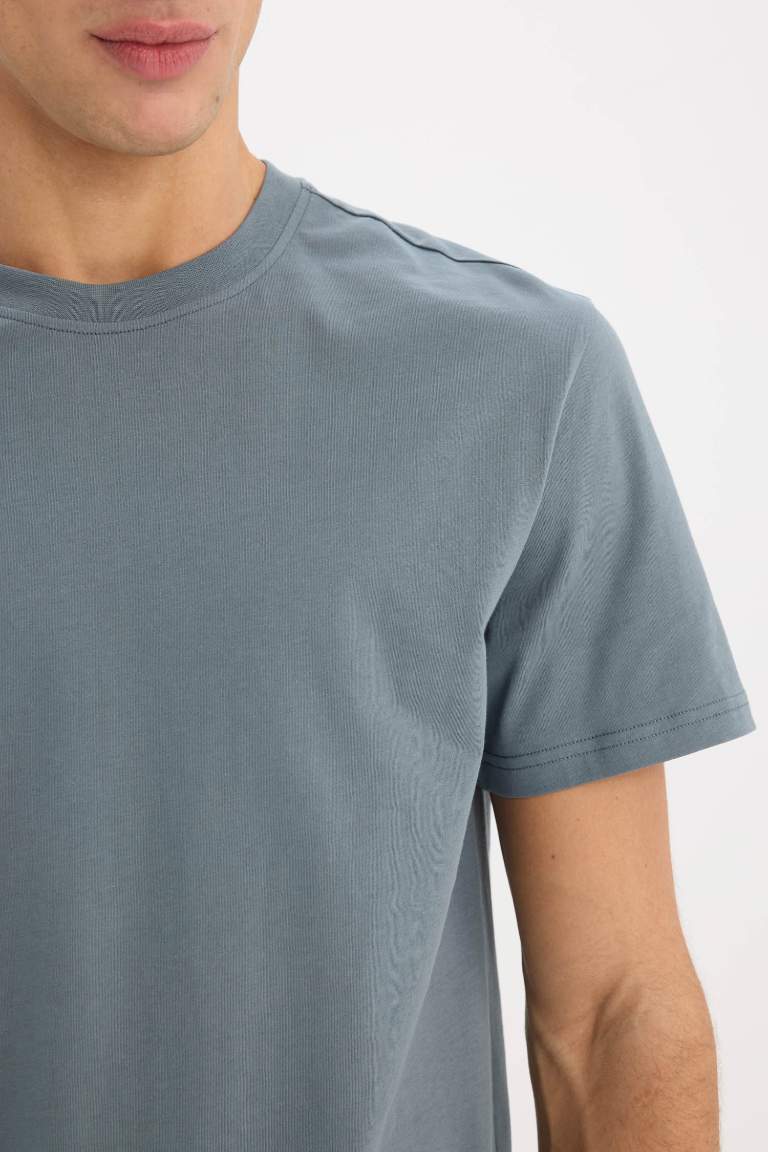 New Regular Fit Crew Neck Basic T-Shirt