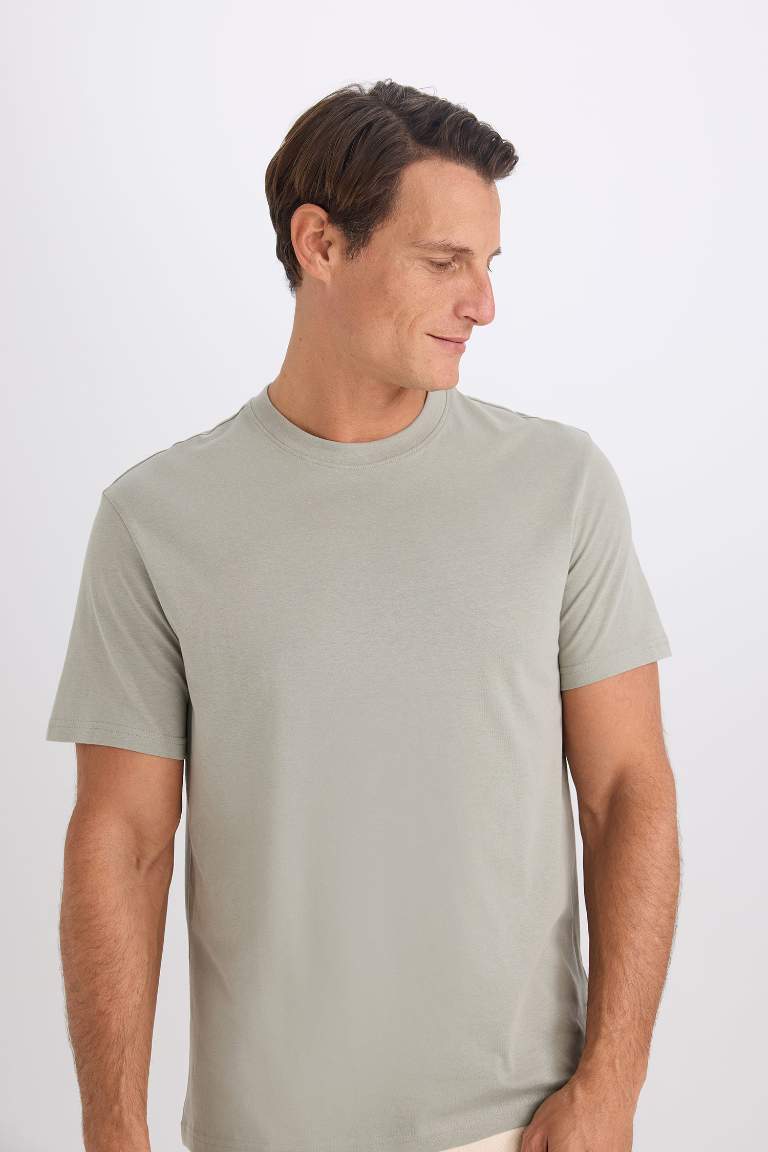 New Regular Fit Crew Neck Basic T-Shirt