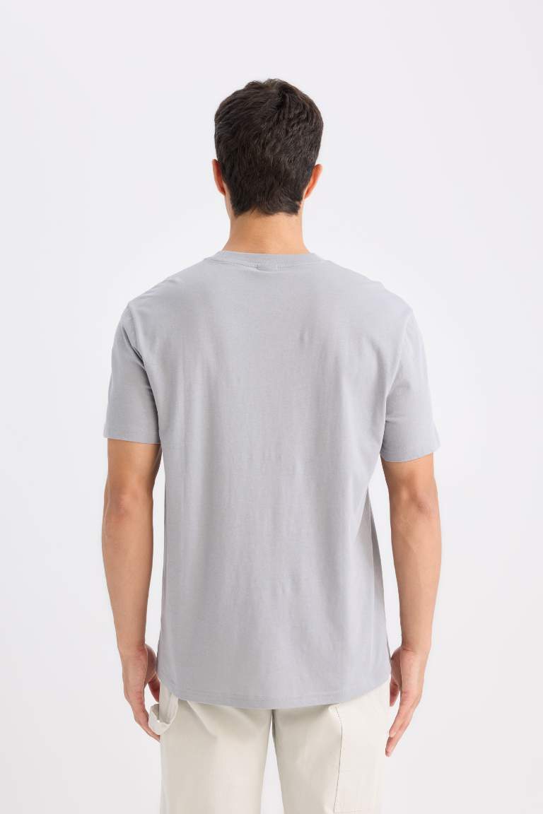 New Regular Fit Crew Neck T-Shirt