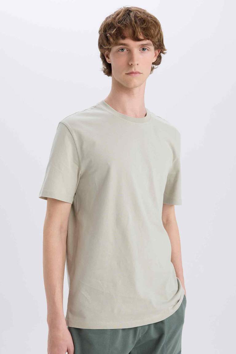 New Regular Fit Crew Neck Basic T-Shirt