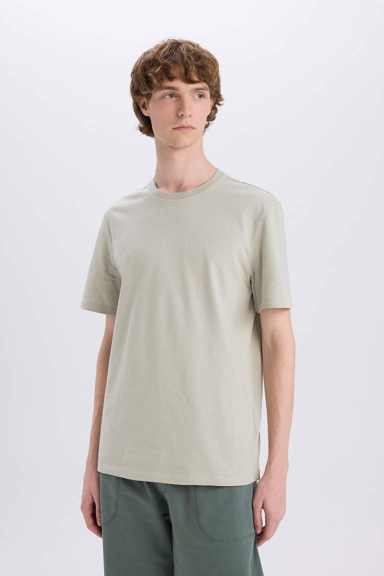 New Regular Fit Crew Neck Basic T-Shirt