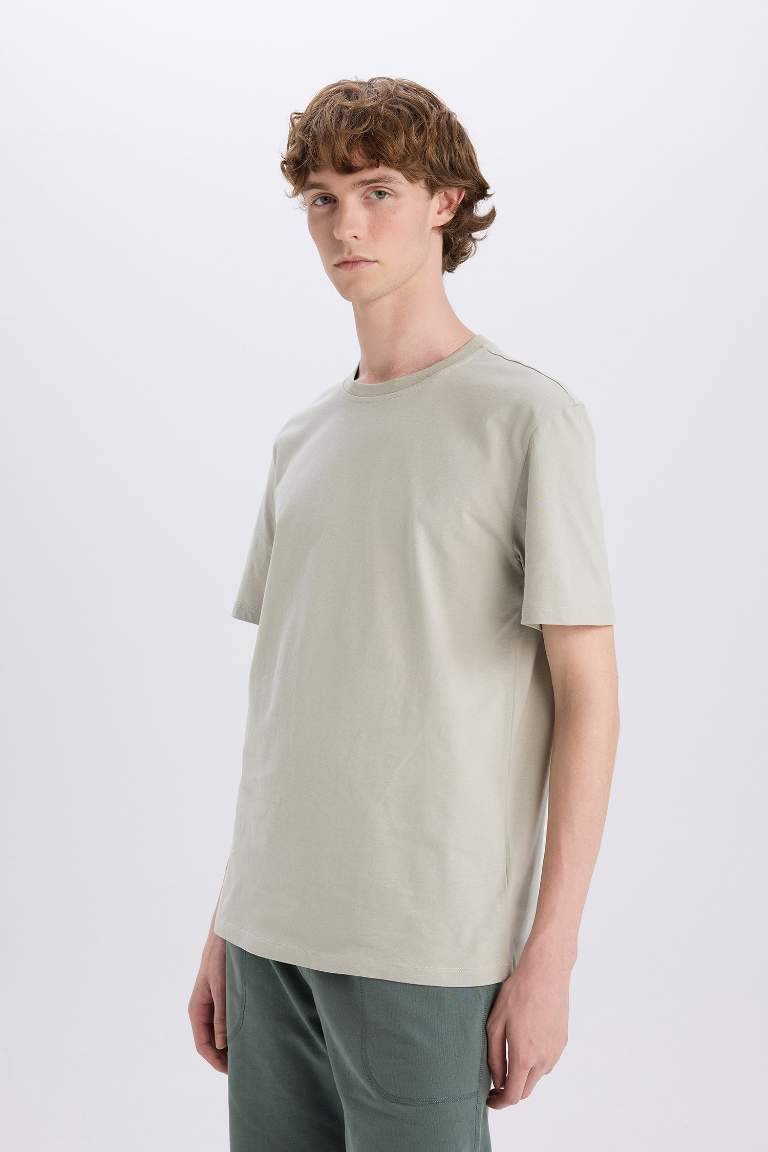 New Regular Fit Crew Neck Basic T-Shirt