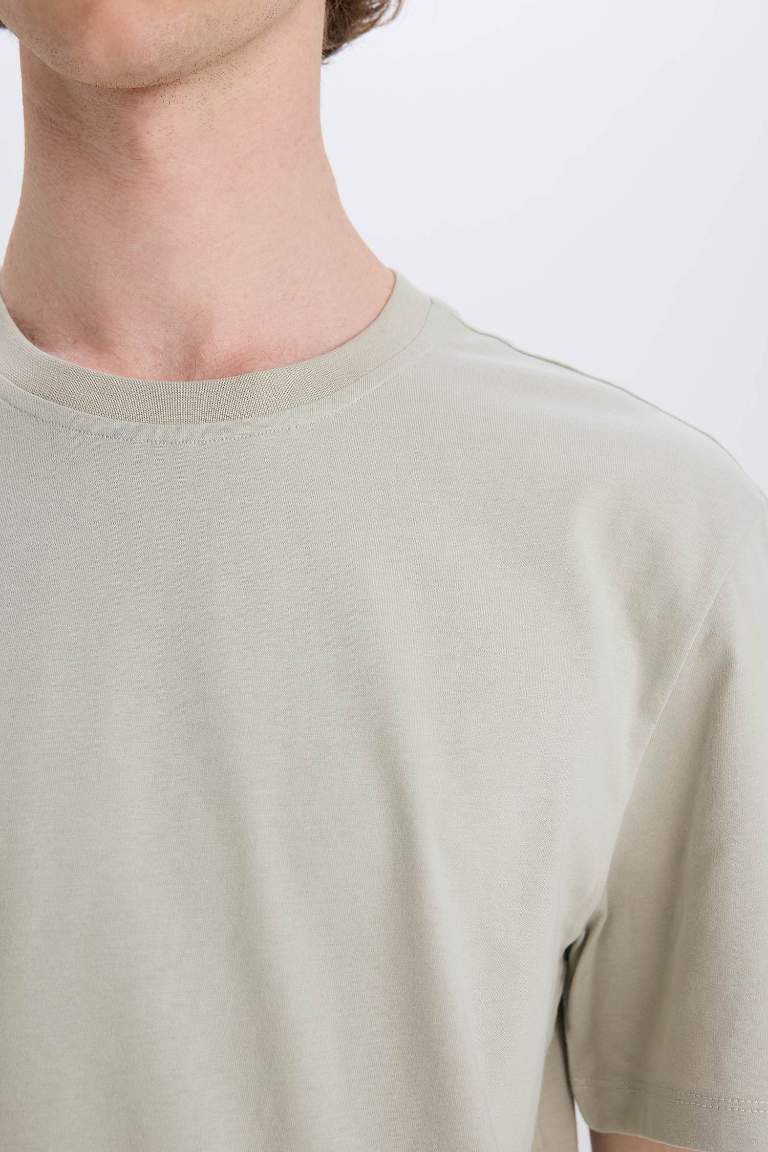 New Regular Fit Crew Neck Basic T-Shirt