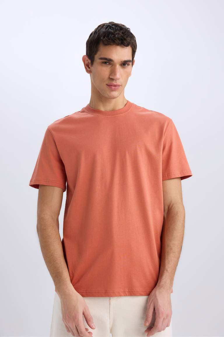 New Regular Fit Crew Neck Basic T-Shirt