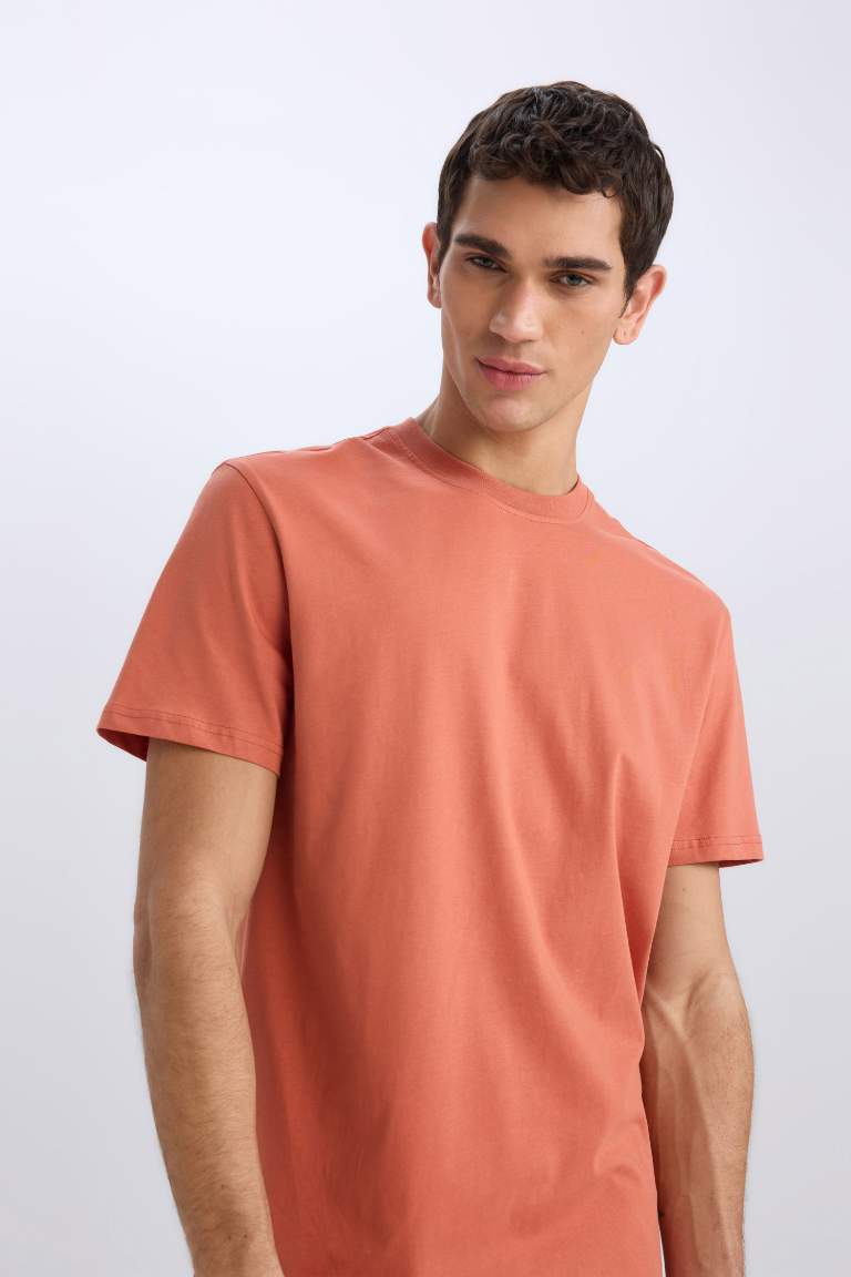 New Regular Fit Crew Neck Basic T-Shirt