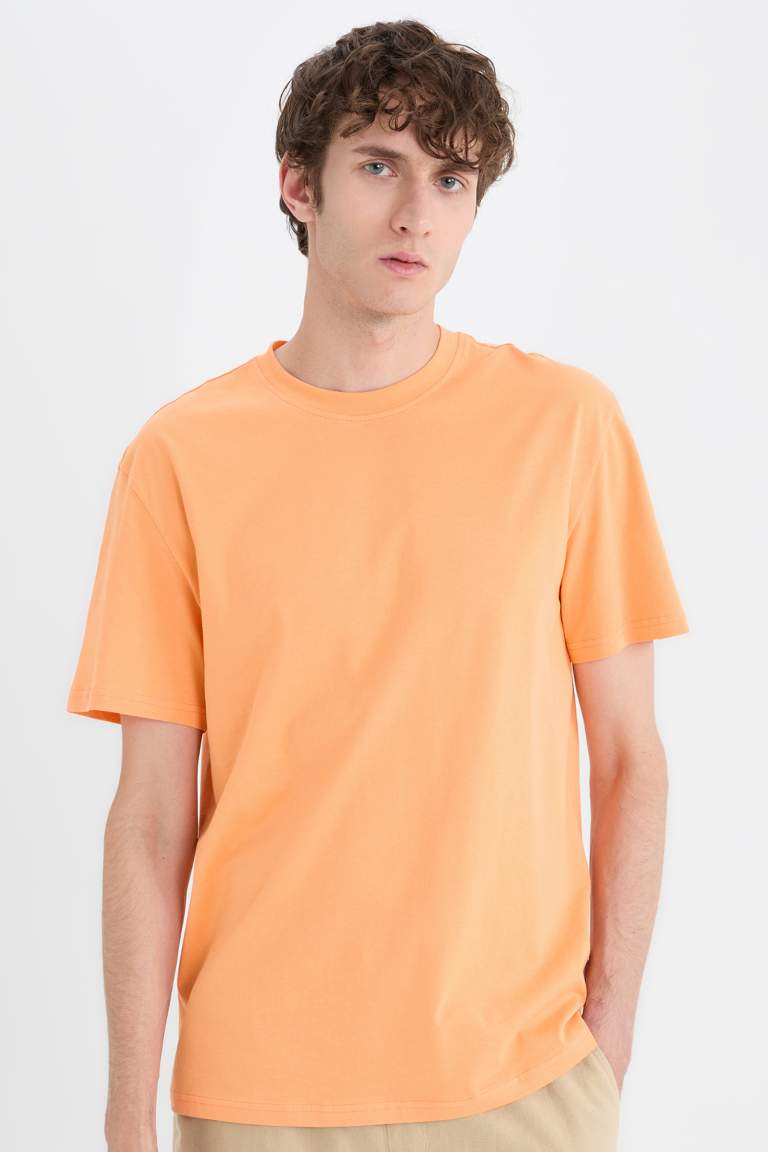 New Regular Fit Crew Neck Basic T-Shirt