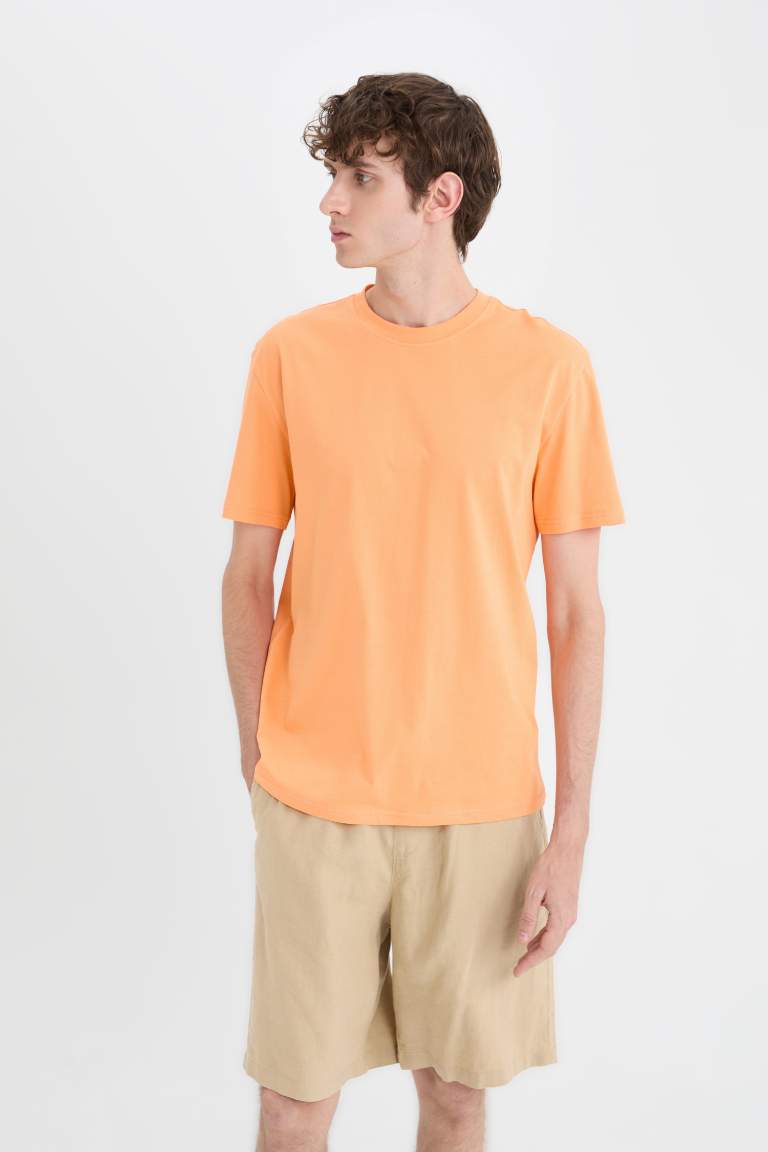 New Regular Fit Crew Neck Basic T-Shirt