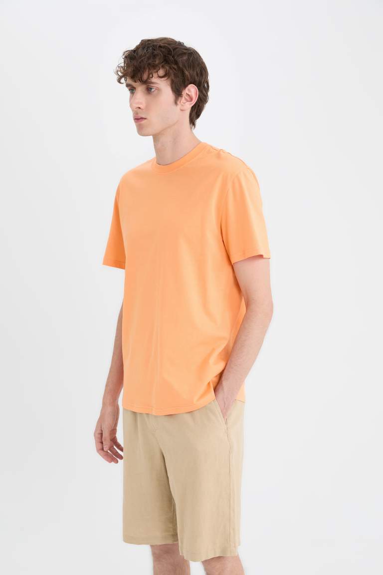 New Regular Fit Crew Neck Basic T-Shirt