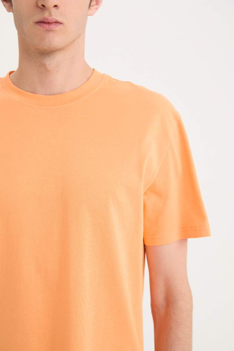 New Regular Fit Crew Neck Basic T-Shirt