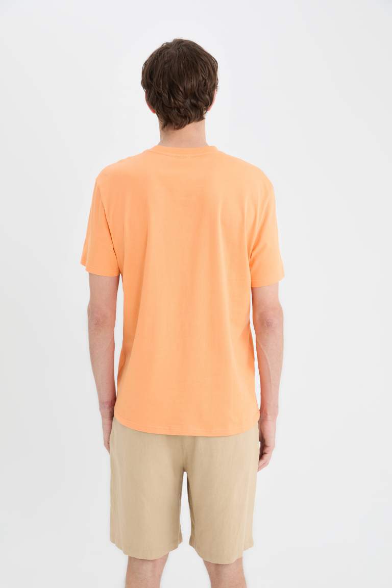 New Regular Fit Crew Neck Basic T-Shirt