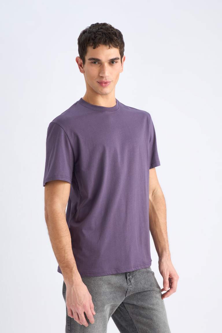 New Regular Fit Crew Neck Basic Short Sleeve T-Shirt