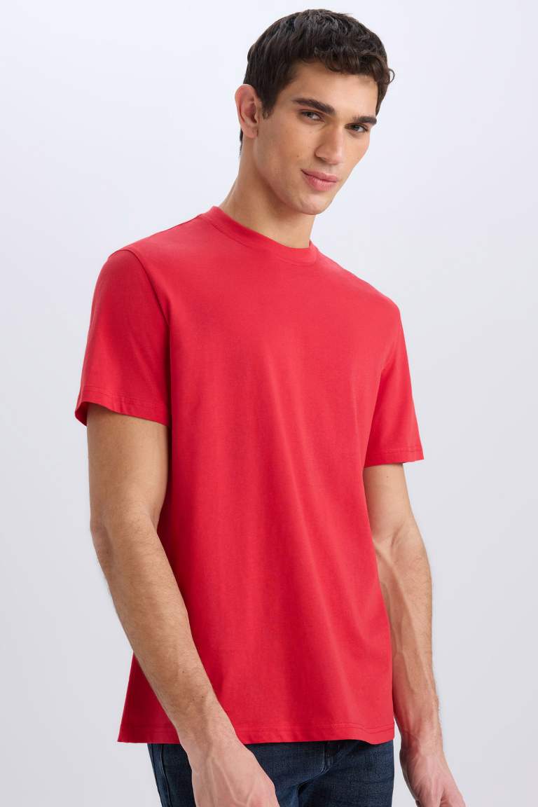 New Regular Fit Crew Neck Basic T-Shirt