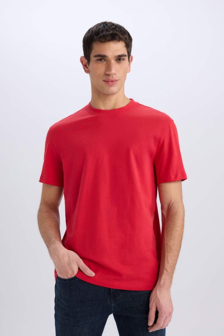 New Regular Fit Crew Neck Basic T-Shirt