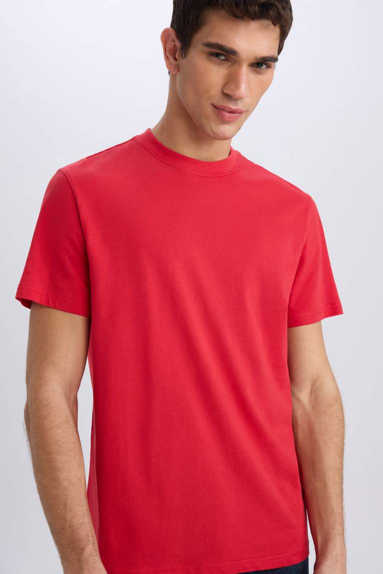 New Regular Fit Crew Neck Basic T-Shirt