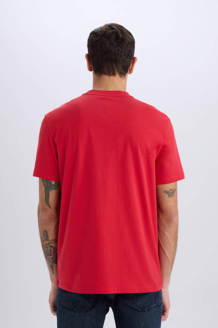 New Regular Fit Crew Neck Basic T-Shirt