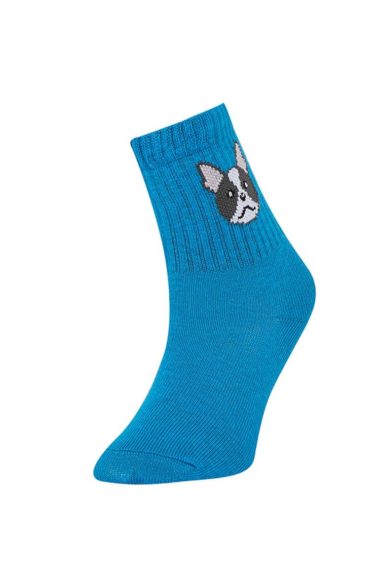 Boy Animal 5 Piece Long sock