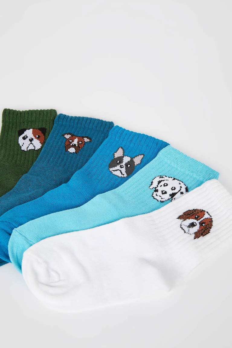 Boy Animal 5 Piece Long sock