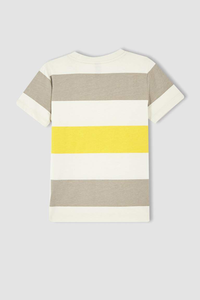 Boy Short Sleeve Striped Colour Block T-Shirt