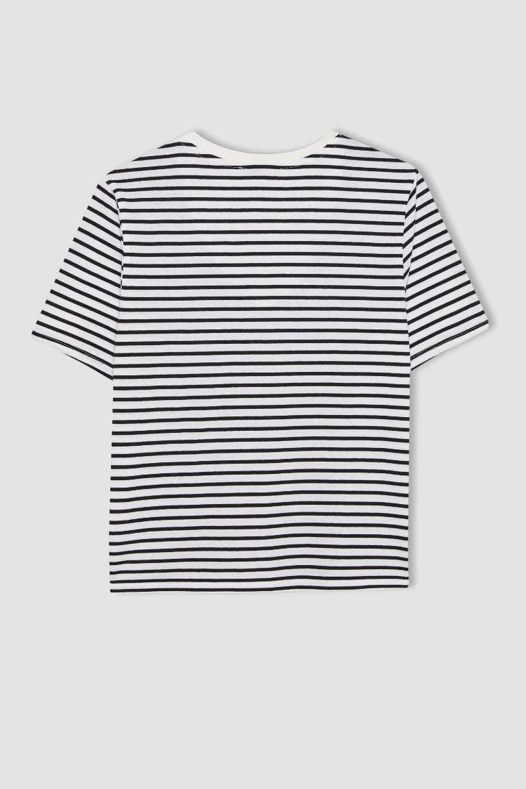 Regular Fit V Neck Striped Basic T-Shirt