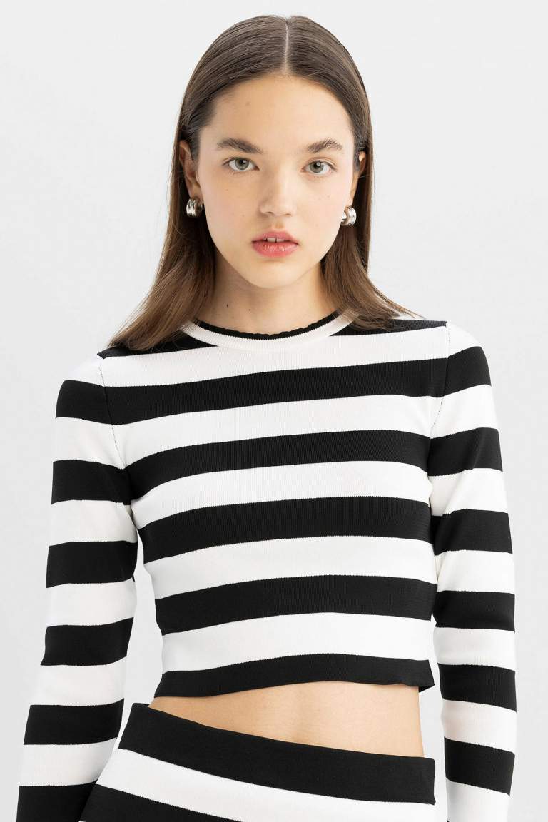 Slim Fit Striped Crew Neck Knitted Pullover