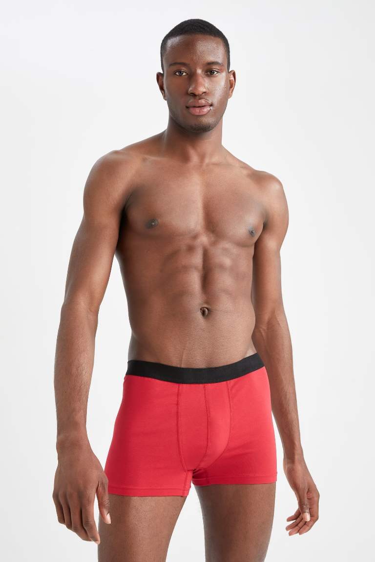 Regular Fit Boxer