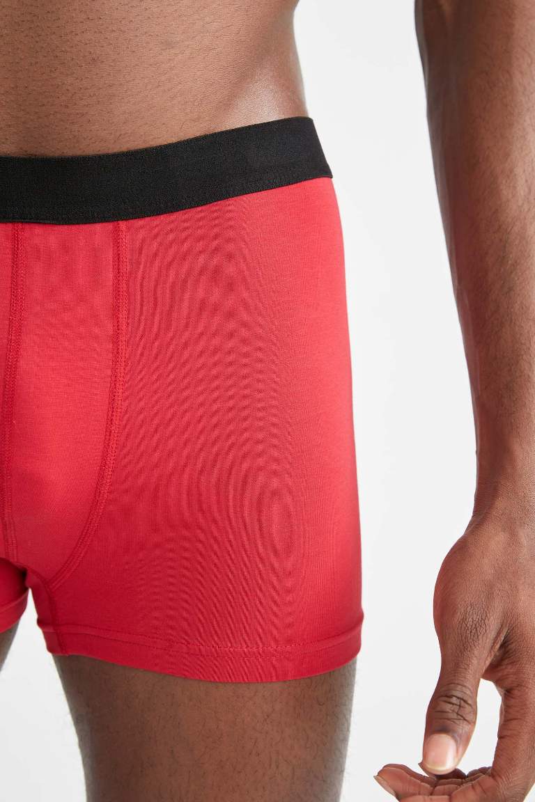 Regular Fit Boxer