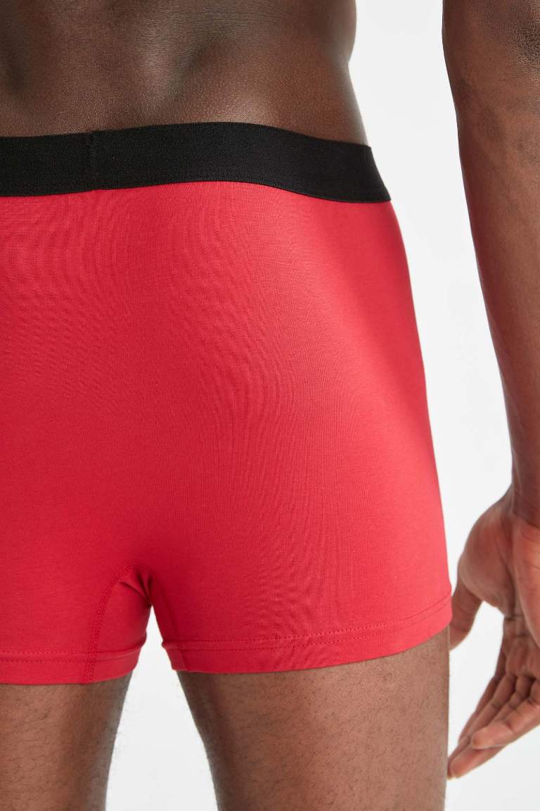 Regular Fit Boxer