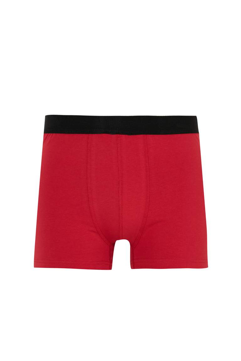 Regular Fit Boxer