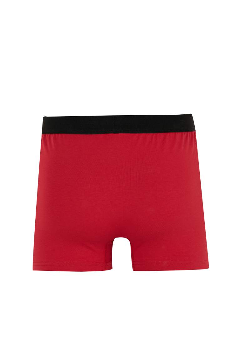 Regular Fit Boxer