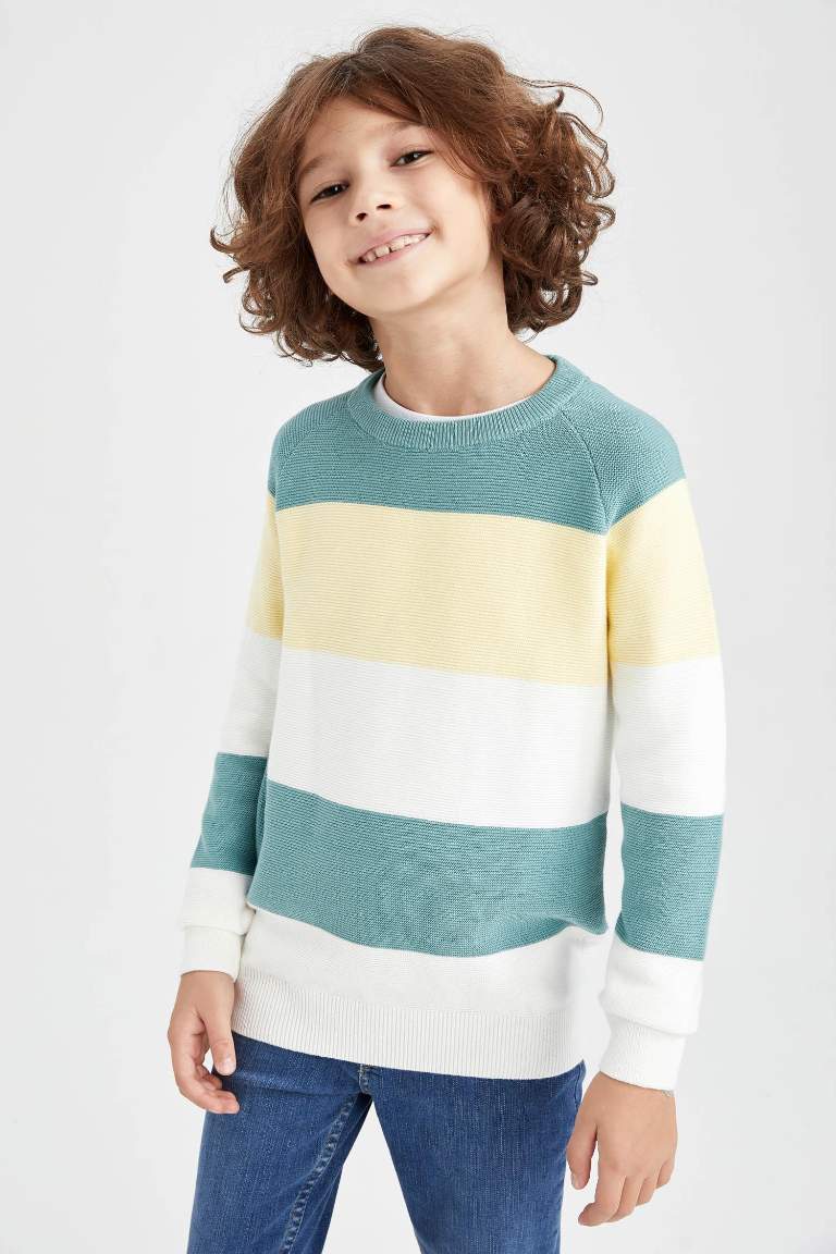 Boy Regular Fit Crew Neck Pullover