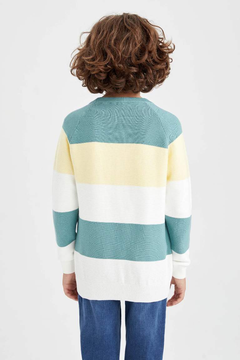 Boy Regular Fit Crew Neck Pullover