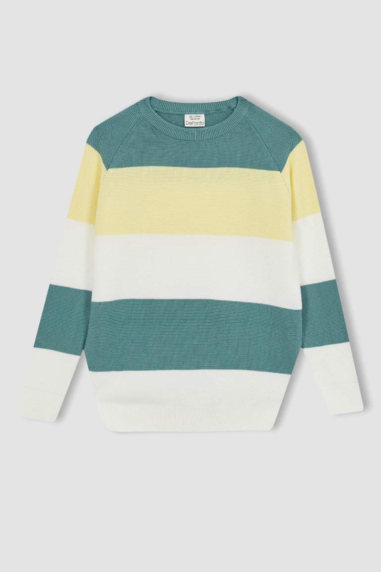 Boy Regular Fit Crew Neck Pullover