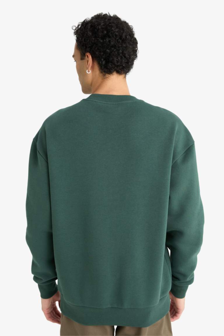 Boxy Fit Bisiklet Yaka İçi Yumuşak Tüylü Baskılı Sweatshirt