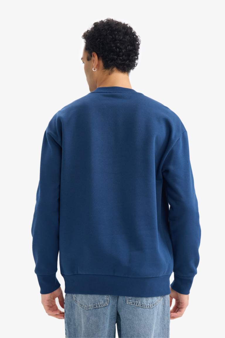 Boxy Fit Printed Long Sleeve Sweatshirt