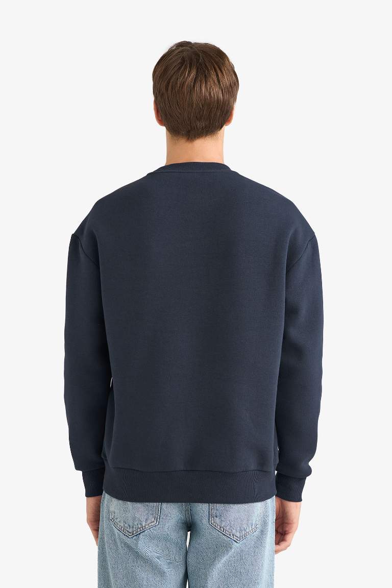 Boxy Fit Bisiklet Yaka İçi Yumuşak Tüylü Baskılı Sweatshirt
