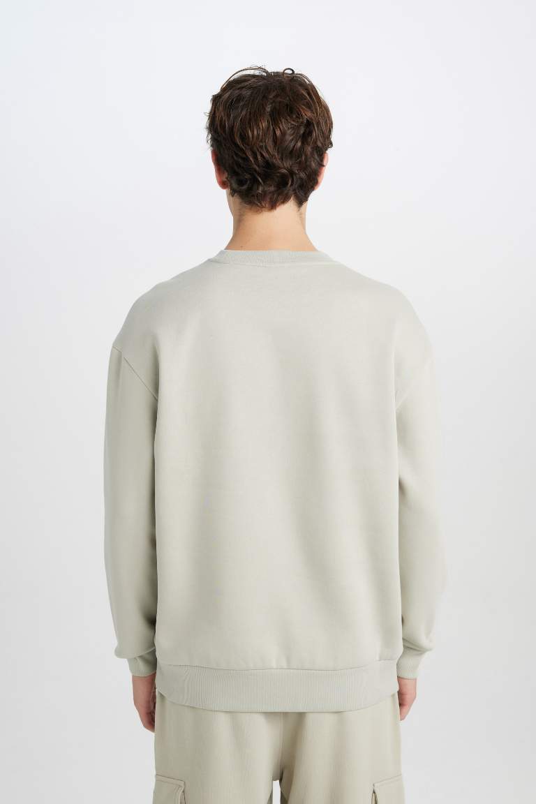 Boxy Fit Printed Long Sleeve Sweatshirt