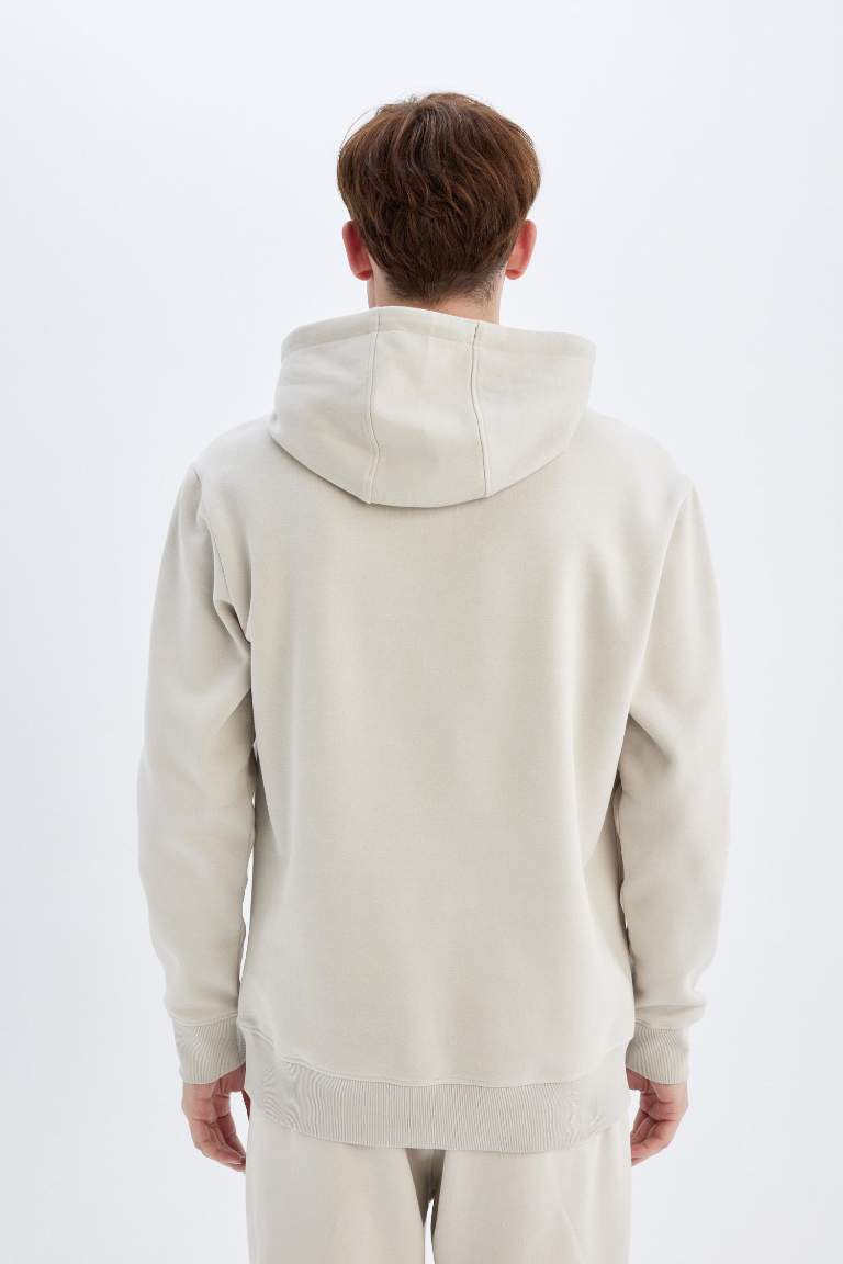 Regular Fit Hooded Soft Furry Basic Sweatshirt