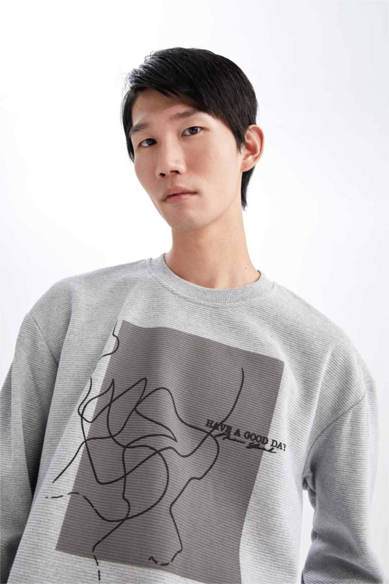 Sweat col rond homme | La Redoute
