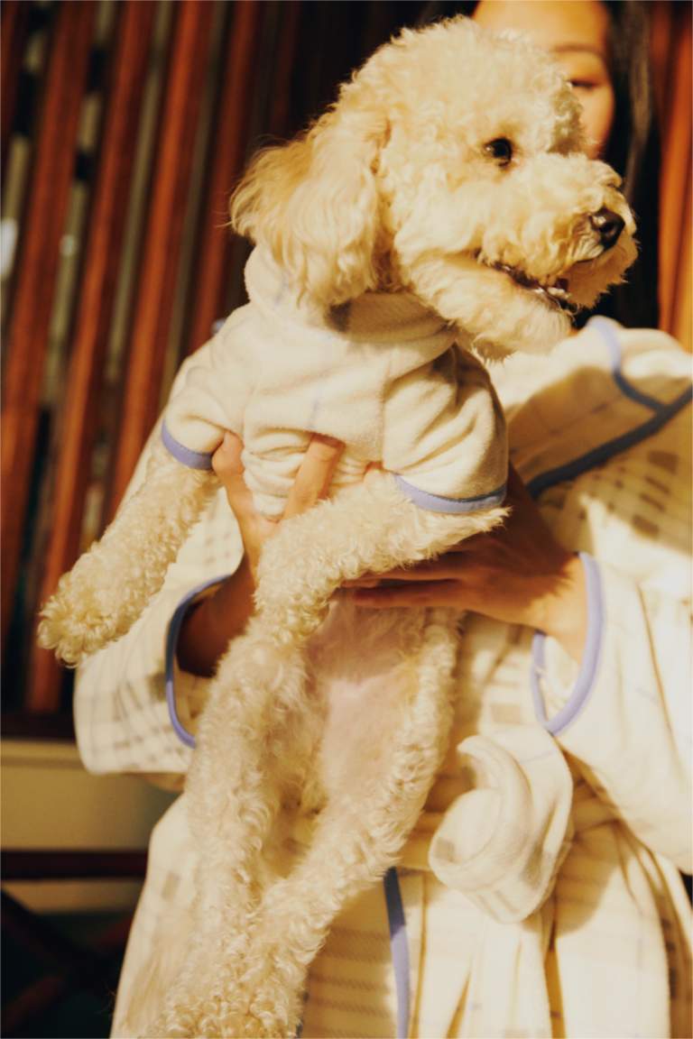 سويت شيرت بقصة عادية بياقة مستديرة بأكمام قصيرة