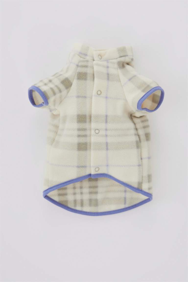 سويت شيرت بقصة عادية بياقة مستديرة بأكمام قصيرة