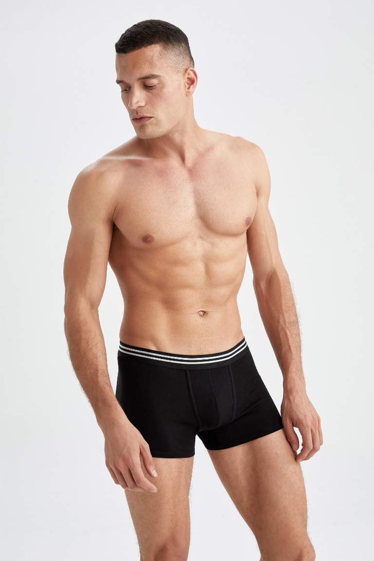Regular Fit Boxer
