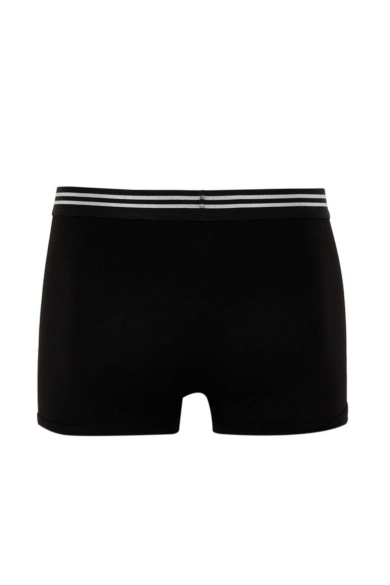 Regular Fit Boxer