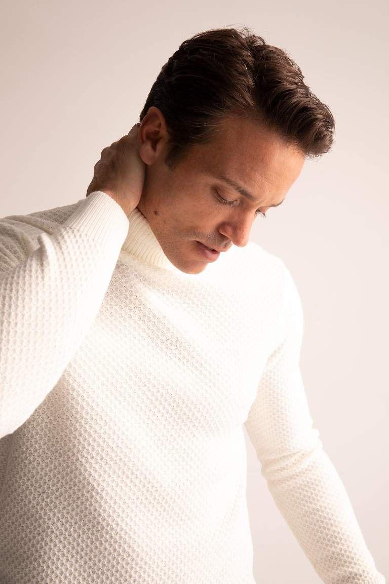 Regular Fit Turtleneck Pullover