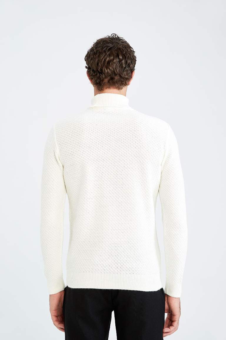 Regular Fit Turtleneck Pullover