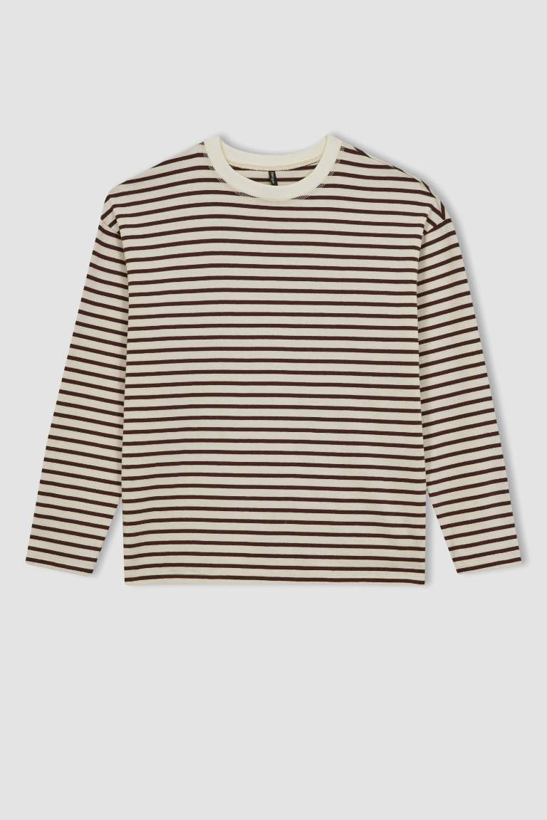 Regular Fit Crew Neck Striped Long Sleeve T-Shirt