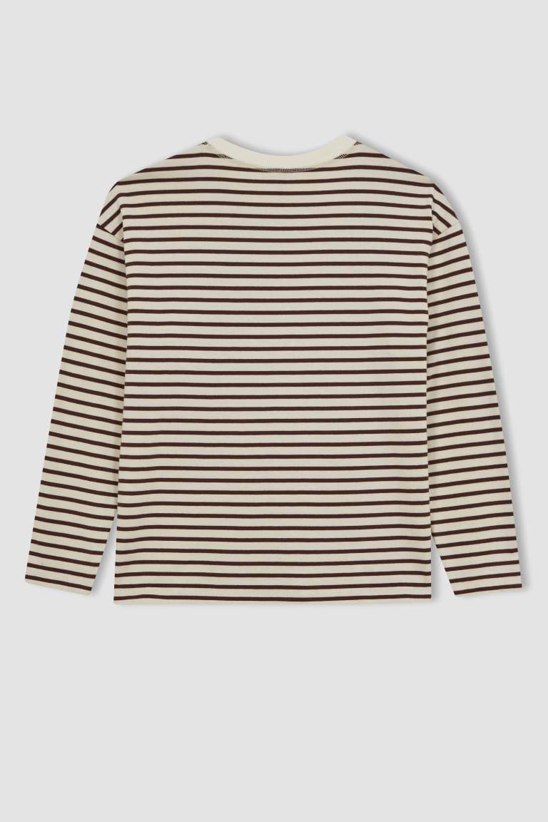 Regular Fit Crew Neck Striped Long Sleeve T-Shirt