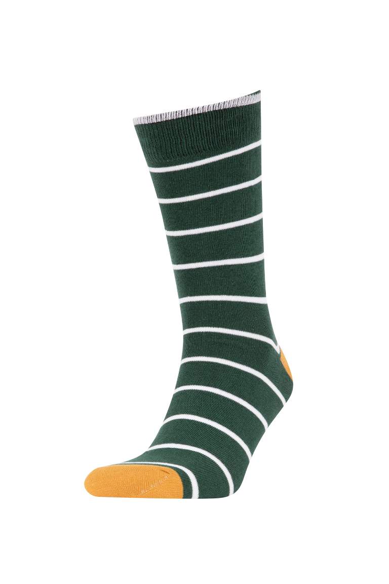 Man 5 Piece Long sock