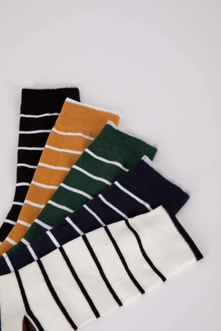 Man 5 Piece Long sock