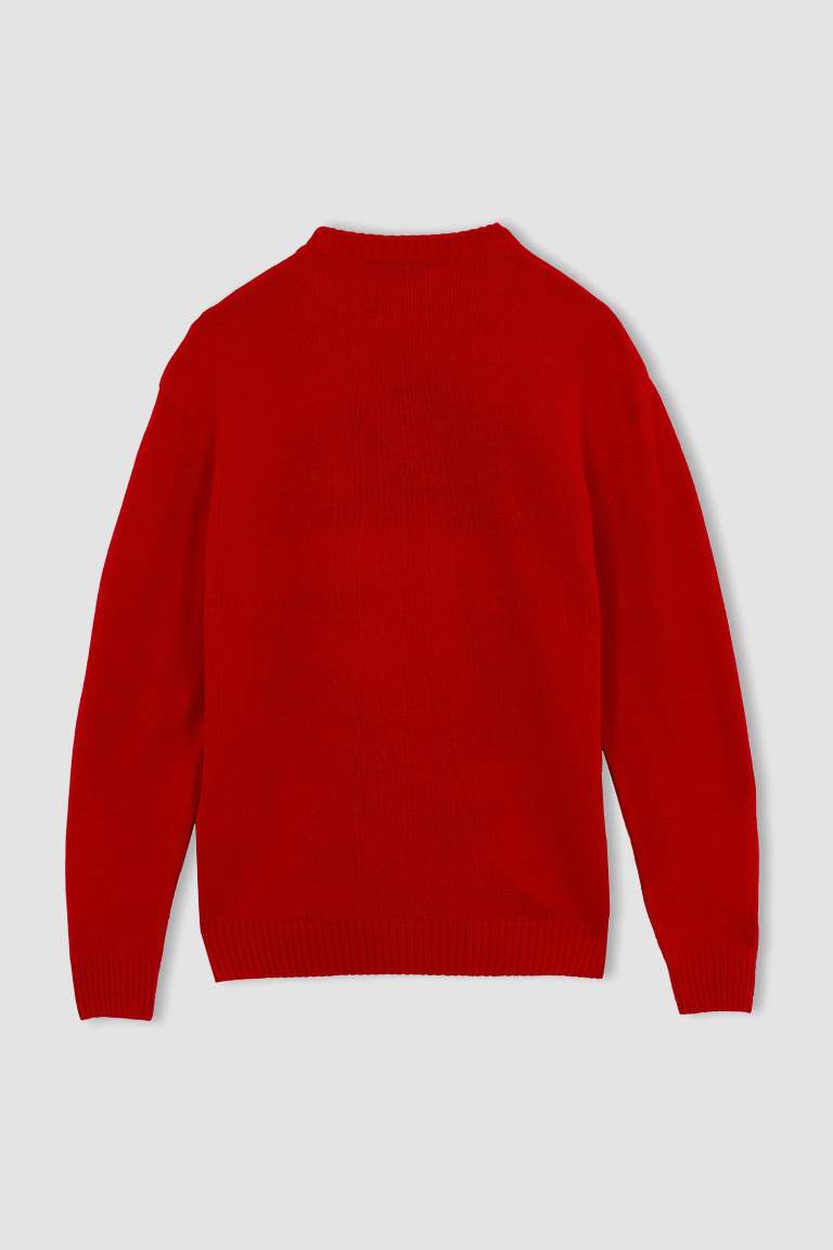 Christmas Themed Crew Neck Red Knit Pullover